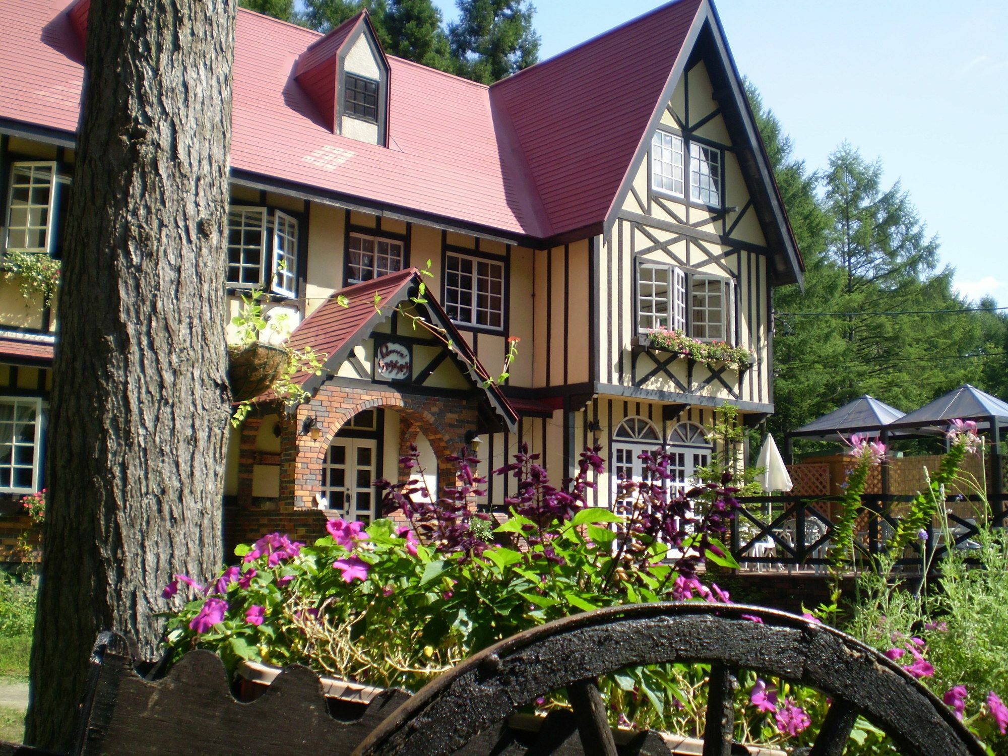 ペンション ちゃうちゃう Bed & Breakfast ฮาคุบะ ภายนอก รูปภาพ